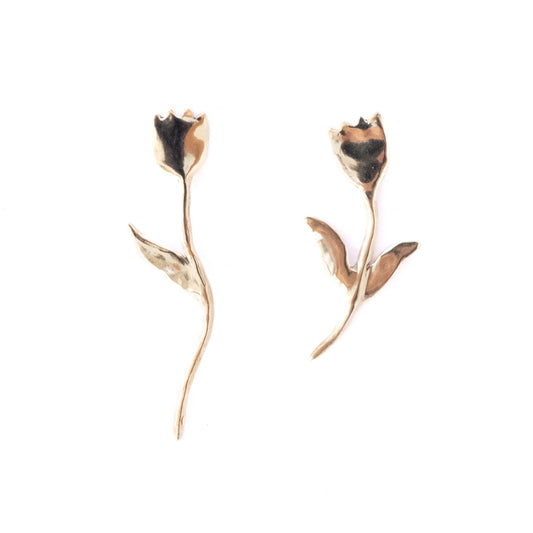 TULIPS BRASS