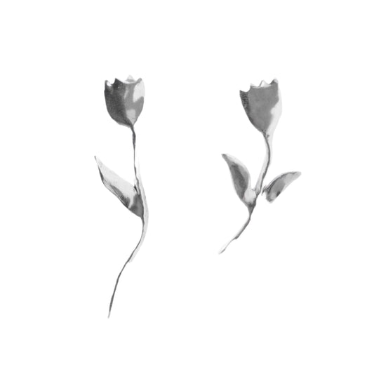 TULIPS SILVER